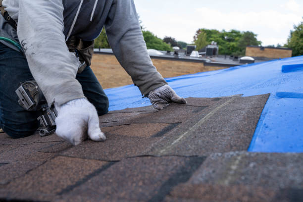 Best Roof Leak Repair  in Chattanoo Valley, GA