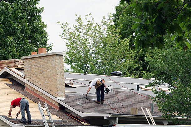 Best Roof Gutter Cleaning  in Chattanoo Valley, GA